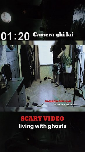 9.1K views · 227 reactions | my house is haunted #camera #animal #scary #cctv #ghost my house is haunted #camera #animal #scary #cctv #ghost | Light of truth | Facebook
