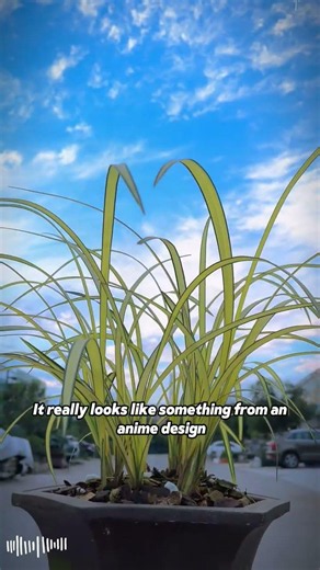Is this plant valuable?#plants #botany #naturefacts #funfacts #science