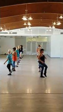 Sold Grundy County Auction Line Dance