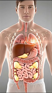 9K views · 32 reactions | Inside the Human Body Science in Motion#humanbod. #doctor #documentaryphotography #DoctorWho # reel # shorts #DoctorWh#doctor | SMART Doctor | Facebook