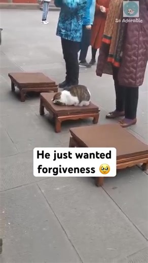 India culturally dominates china since 1000 years due to buddhism spread.. Traces of India culture still prevail in china temples..some of their remaining ancient buddha temples have sculptures of hindus gods. Chinese bow their head and offer flowers and light agarbatti sticks in temples.. however these are buddha temples... | IIT Madras Junta Against Leftist APSC