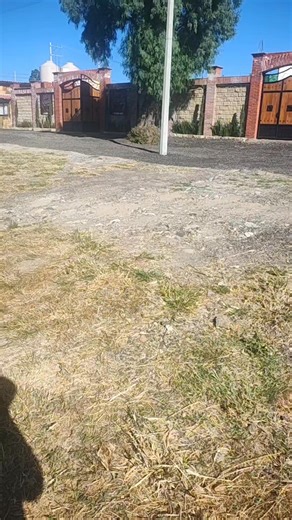 11K views · 48 reactions | Cabaña mis 3 amores on Reels | Facebook