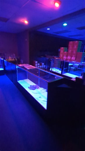 Elite Collectibles on Reels