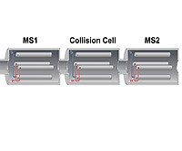 Tandem Mass Spectrometry: Principle, Instrumentation, Uses