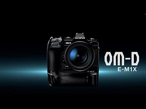 Olympus EM1X initial thoughts