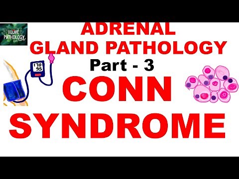 Adrenal Gland Pathology: Part -3. HYPERALDOSTERONISM. CONN SYNDROME