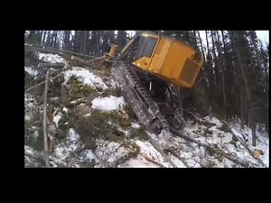 Bunching and logging tigercat
