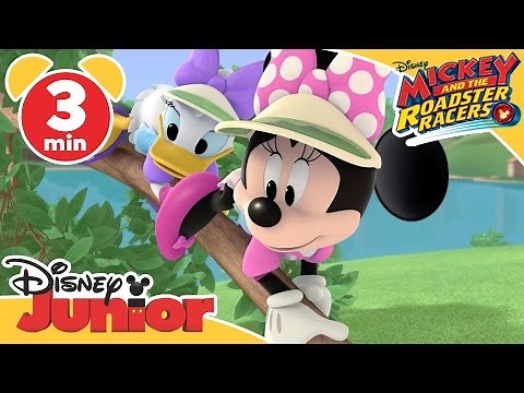Mickey and the Roadster Racers | Sittin' Kitty | ‪@disneykids‬