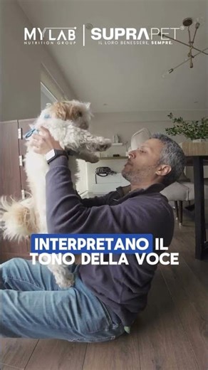 Il tuo cane inclina la testa quando gli parli? 🐶