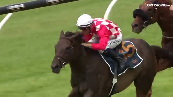 TAB Karaka Millions 3YO ✅ Gr.2 Eagle Technology Avondale Guineas ✅ Can anyone defeat Orchestral in tomorrow's Gr.1 Trackside NZ Derby? 🤔 | LOVERACING.NZ