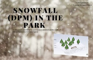 Snowfall CFD Simulation using DPM, Ansys Fluent Training - MR CFD