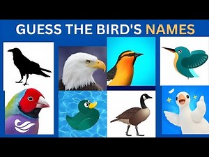 50 Beautiful Birds Name | Learn Bird Names with Pictures | Amazing Bird World 🌎🦜"
