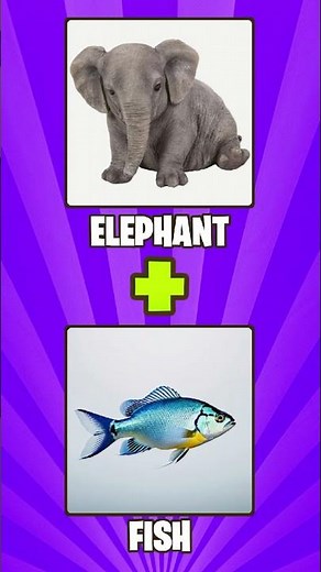 Literal Vs Reality English Compound Words Part 6🔥