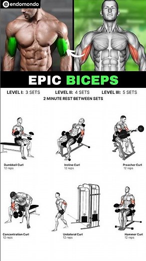 30-DAY EPIC BICEPS CHALLENGE: Build Massive Arms!