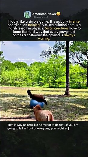 HORSE FAILS THE BOUNCE TEST