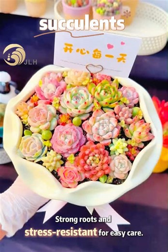 Do you prefer large succulents or small succulents? #Succulent #LowMaintenancePlants #CommentsSection #succulentcare #factory