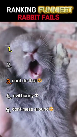 Ranking the FUNNIEST Rabbit Fails!! 🤣😂🥹