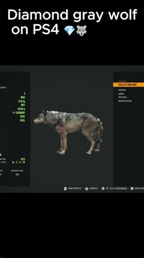 Diamond Gray Wolf on PS4 💎🐺 | COTW