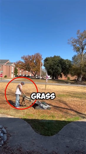 This Lawn Mower Moves by Itself…