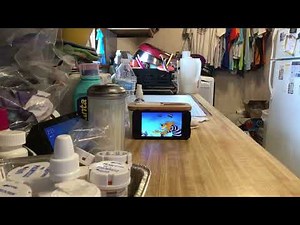 Robin Hood (1973) prince John defeat