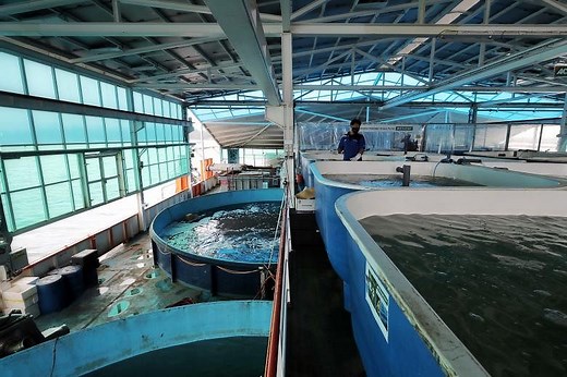 Budget 2021: New $60m agri-food cluster transformation fund to boost local production through technology