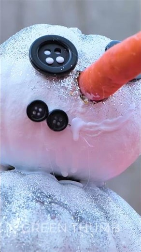 Sustainable Christmas Cheer: Craft Your Snowman from OLD Pumpkins!