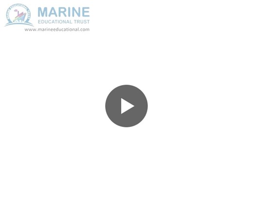 #environmentalsafetytraining #marineenvironmentalprotection #marpol #pollutionprevention #oilspillresponse #wastemanagement #sustainableshipping #maritimetraining #shipboardsafety #greenshipping | MARINE EDUCATIONAL TRUST