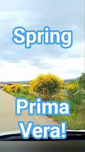 Springtime ~ Primavera ~ Beauty and relaxing #explore #Countrycolours #floralScent #wildBeauty ~