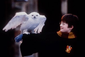 Les secrets du thème musical de « Harry Potter »