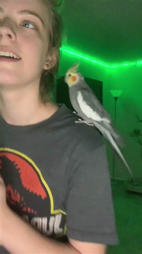 Discovering Toothless in 12 Days of Snoggletog QnA