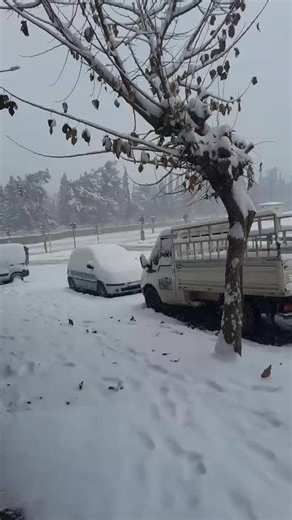 Exploring Austria and Germany: A Turkish Perspective