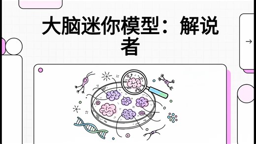 大脑迷你模型：解说者