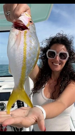 Key West Fishing Adventure | Florida Keys #fishing #keywest #fishinglife #shorts