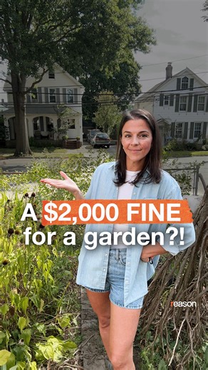 385K views · 17K reactions | Why did this woman’s native plant garden lead to $2,000 in fines and four court appearances after the town gave her money to plant it? : Eddie Marshall | Reason Magazine | Facebook