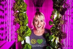 ¿Qué es la agricultura vertical?