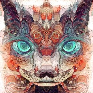 📺 🎸🔊✨😸✨ #electriccatnip | Electric Catnip