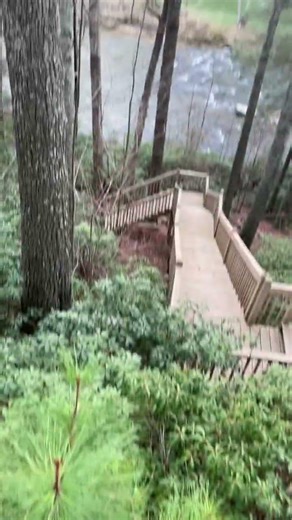 Spring break in Georgia #georgia #spring #peace