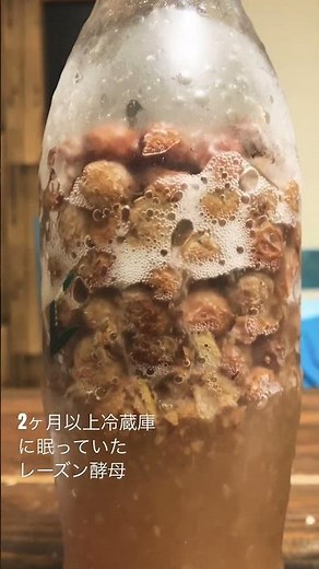 作り足ししただけのレーズン酵母は永久無敵