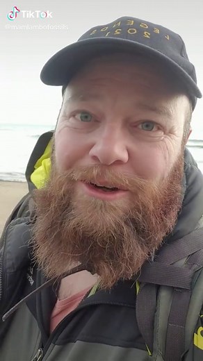 Unearthing Fossils in Sedimentary Rock: A Guide