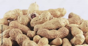 Peanuts in the shell roasted