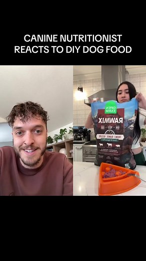 Homemade Diet Guides for Dogs & Cats with a Canine Nutritionist