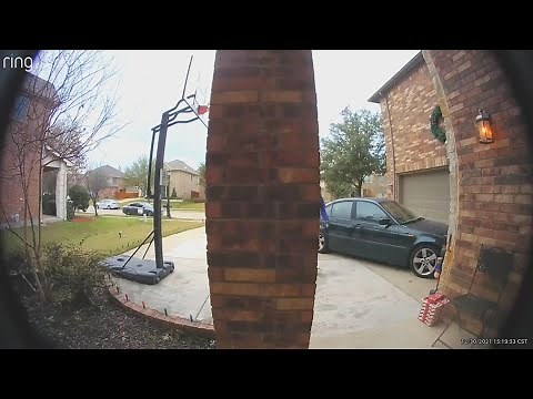 Dog caught stealing sandwich on doorbell cam