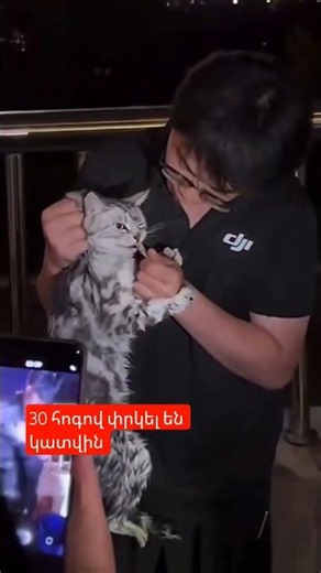 30 հոգով փրկել են կատվին