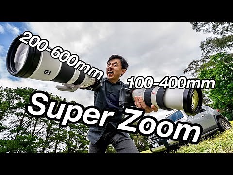 What is the Better Choice? Super Zoom 100-400mm vs 200-600mm review