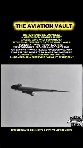 The Ho 229: The Nazi Stealth Jet That Almost Changed Everything