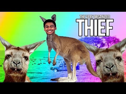 HOW TO ROB A KANGAROO