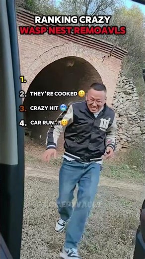 Ranking Crazy WASP Nest Removals! 🤐