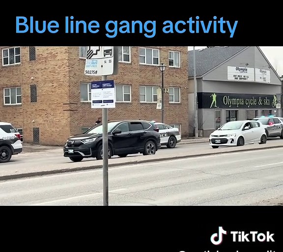 North America Audit on TikTok