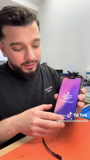 iPhone 13 Pro Max Display und Ladebuchse reparieren