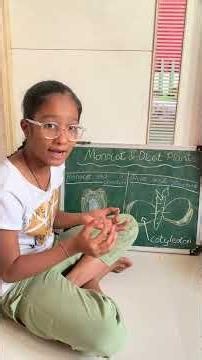 Monocot vs Dicot Plants: Plant Biology Basics Explained (With Charts & Examples)